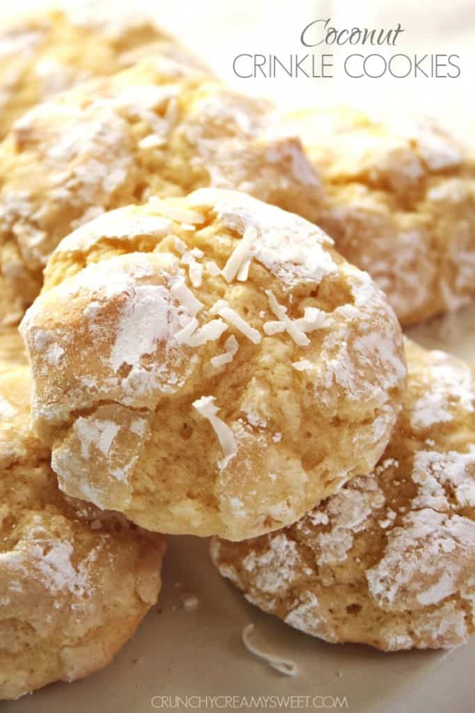15 Amazing Cookies From Scratch Recipe – Easy Recipes To Make at Home