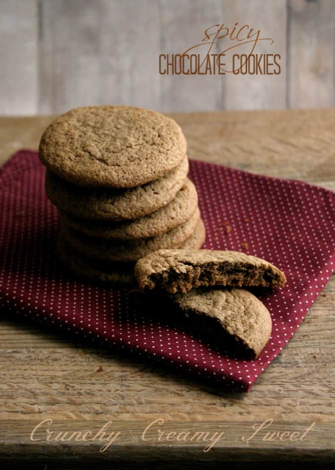 Side shot of stack of spicy chocolate cookies with one broken in half.