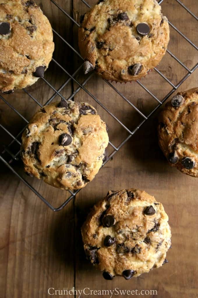 Overhead shot of bakery style chocolate chip muffins on cooling rack.