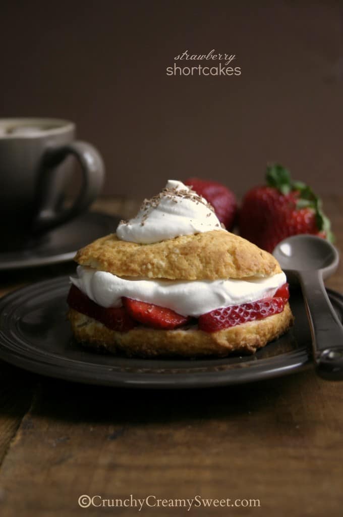 Side shot of one strawberry shortcake on brown plate.