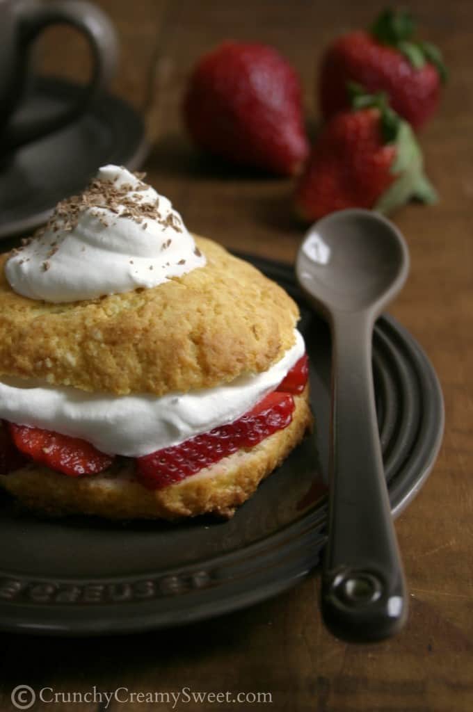 Close up shot of shortcake with strawberry slices and whipped cream.