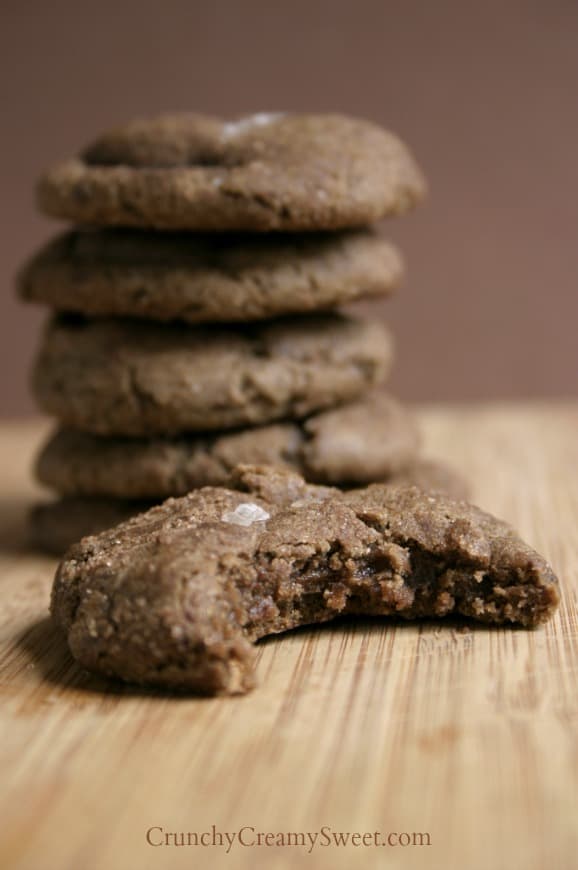 Side close up shot of chocolate snickerdoodle cookie with a bite missing, rest stacked in tower behind it.