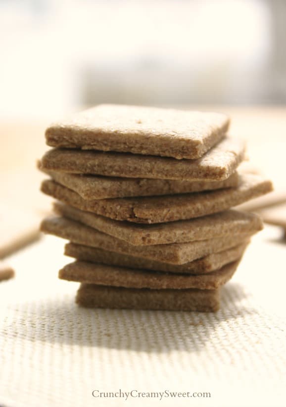 Homemade Wheat Thins | CrunchyCreamySweet.com