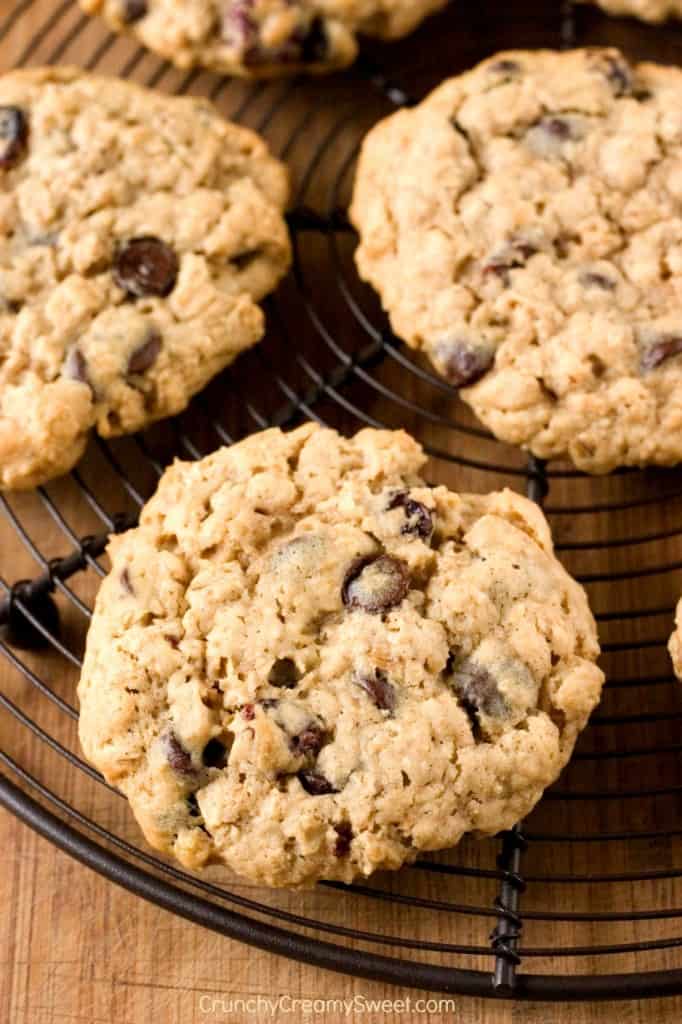 Side shot of three oatmeal raisin cookies on cooling rack.