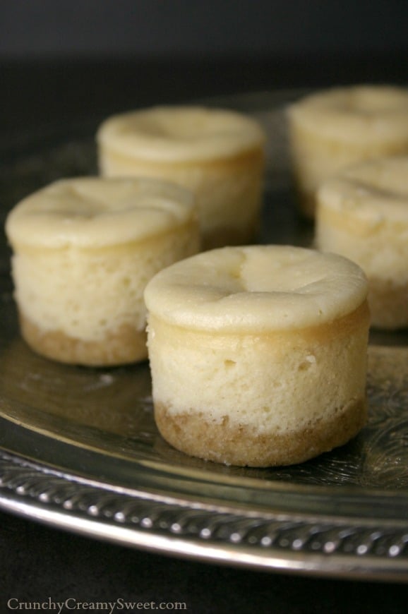 Chocolate Mousse Mini Cheesecakes | CrunchyCreamySweet.com