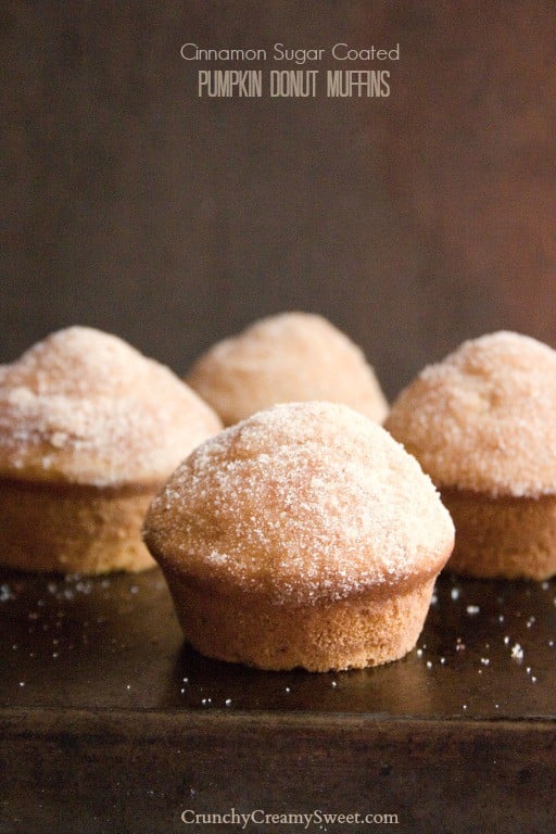 Pumpkin Donut Muffins with Connamon Sugar Coating