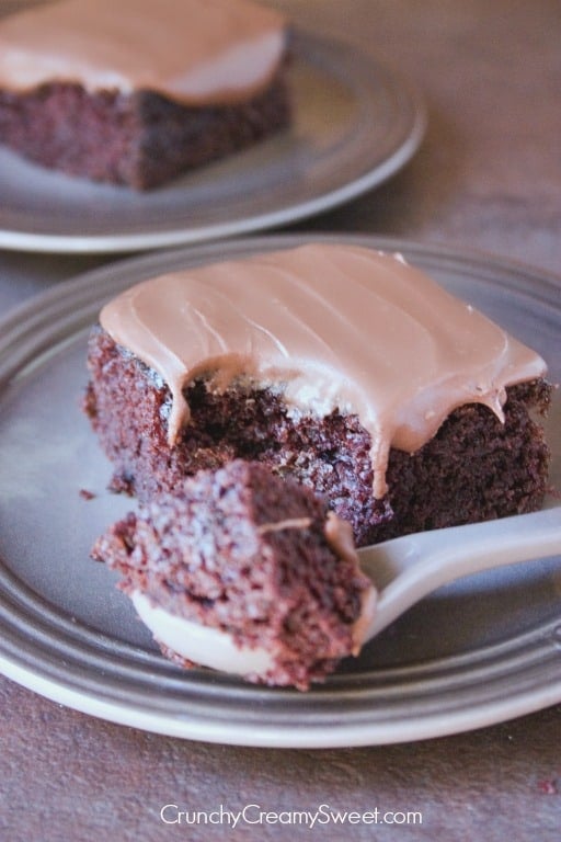 Easy yet impressive chocolate cake with fudge frosting.