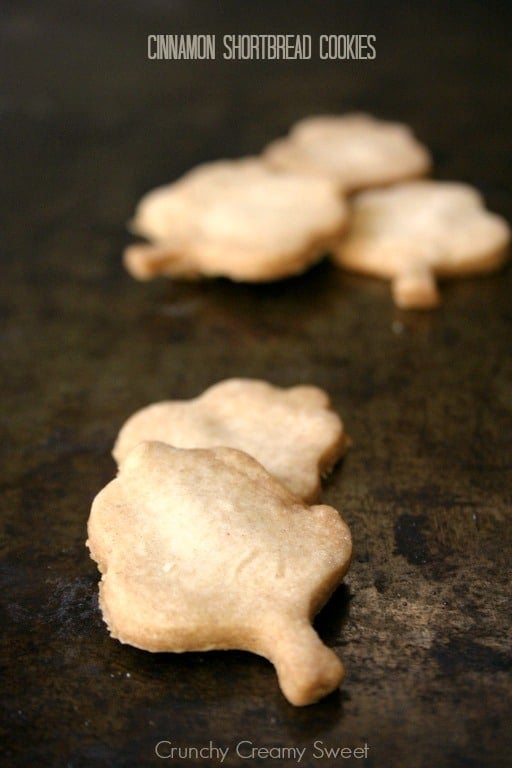 cinnamon shortbread cookies recipe