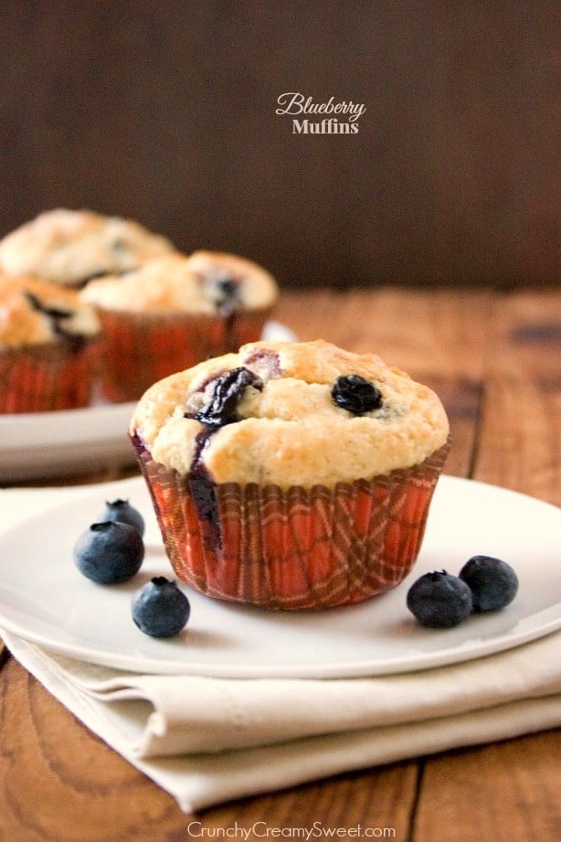 Blueberry Muffins