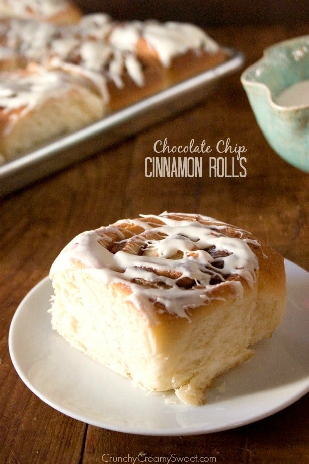 Chocolate Chip Cinnamon Roll on a white plate.