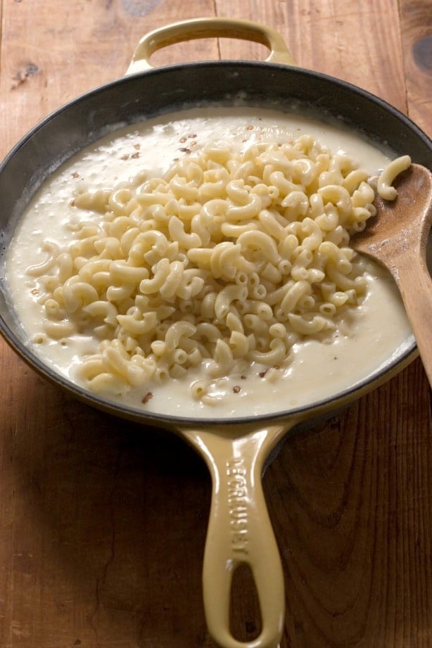 Side shot of cooked macaroni in white cheesy sauce in cast iron skillet.