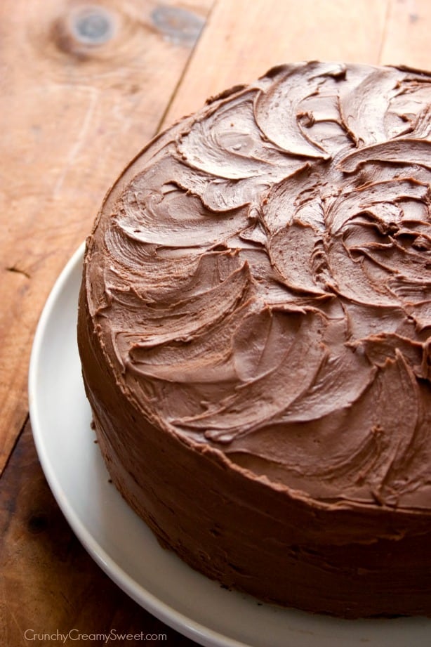 Side shot of chocolate cake with frosting swirls.