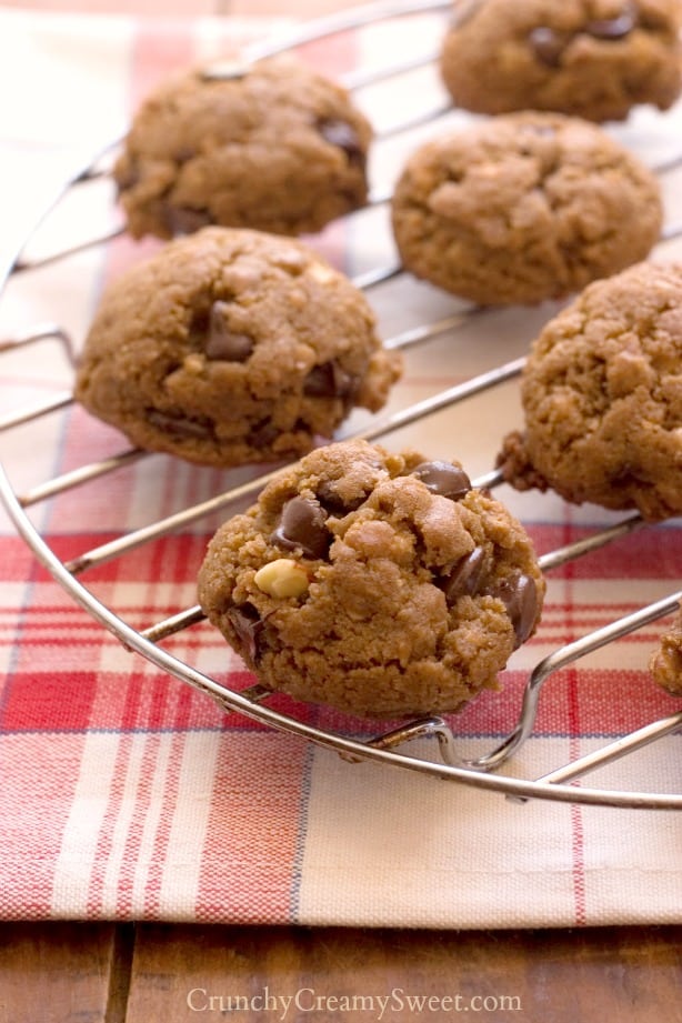 Peanut Butter Chocolate Granola Cookies