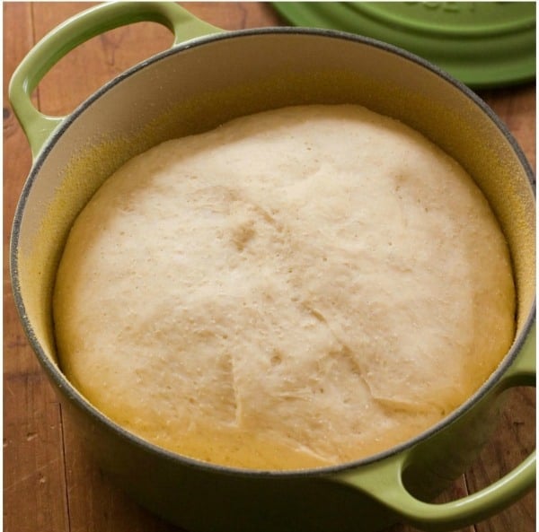 English Muffin Bread dough rising in Dutch oven.