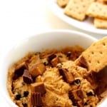 Peanut Butter Cup Dip Skinny Style