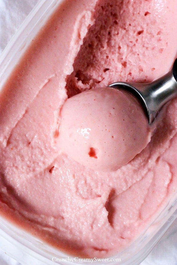 Overhead shot of berry frozen yogurt in a container with ice cream scoop on top.