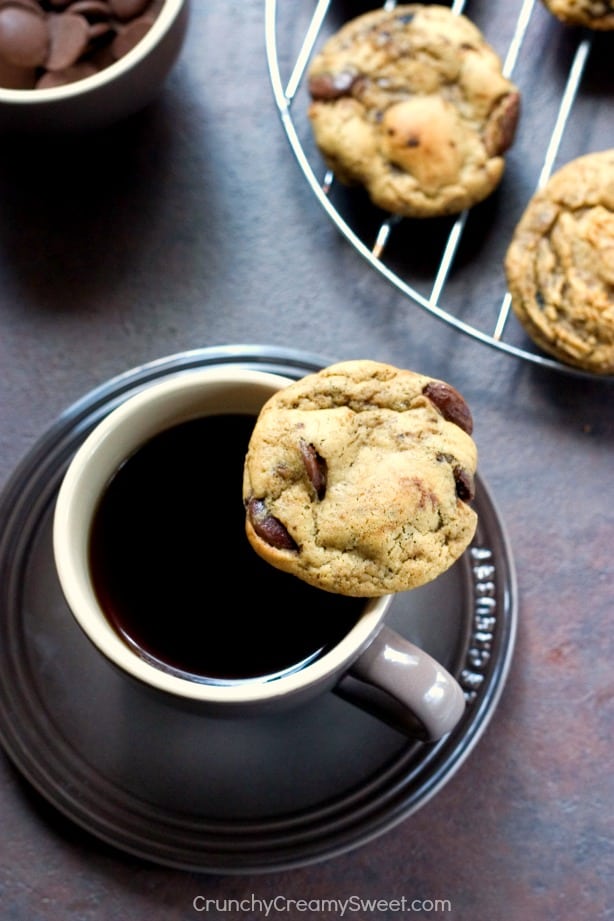 Mocha Cookies aka Coffee and Chocolate Cookies