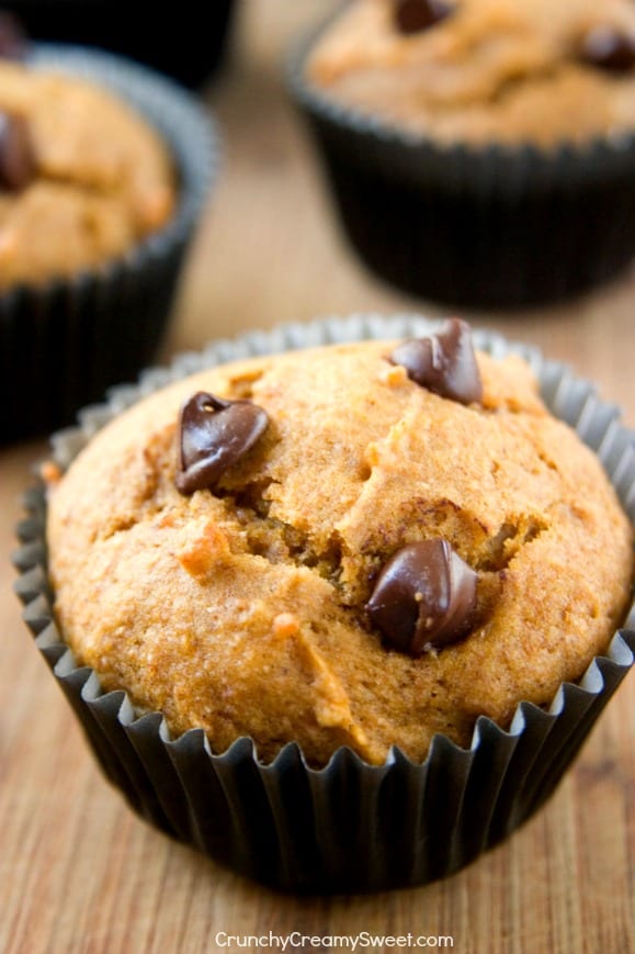 Chocolate Chip Pumpkin Muffins