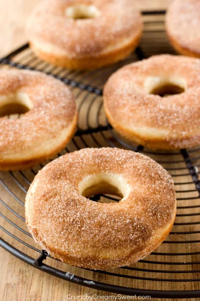 Cinnamon Sugar Coated Donuts