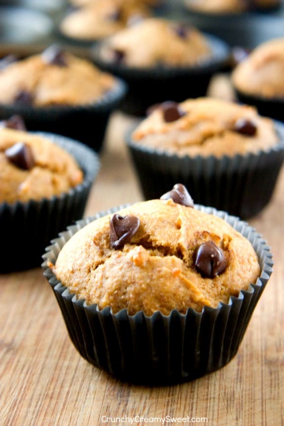 Skinny Chocolate Chip Pumpkin Muffins from Crunchy Creamy Sweet Chocolate Chip Pumpkin Muffins