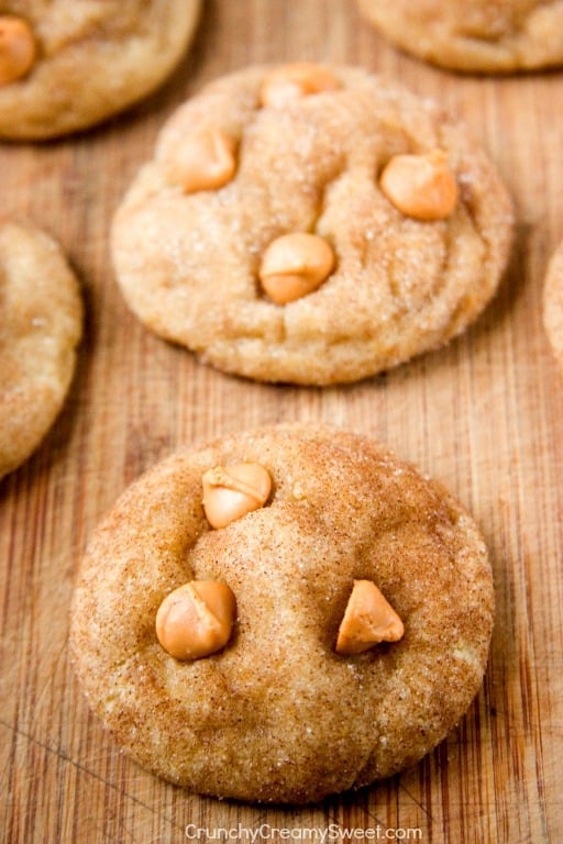 Soft and Chewy Butterscotch Snickerdoodles