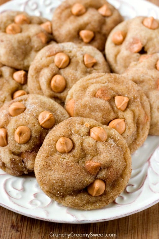 The Best Snickerdoodles with Butterscotch Chips