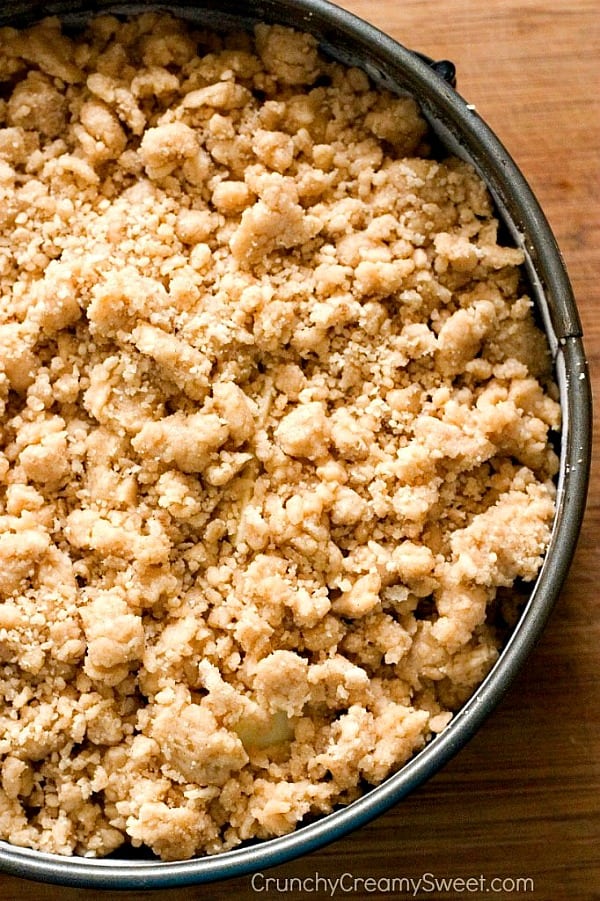 Overhead shot of crumb topping on cake in springform pan.