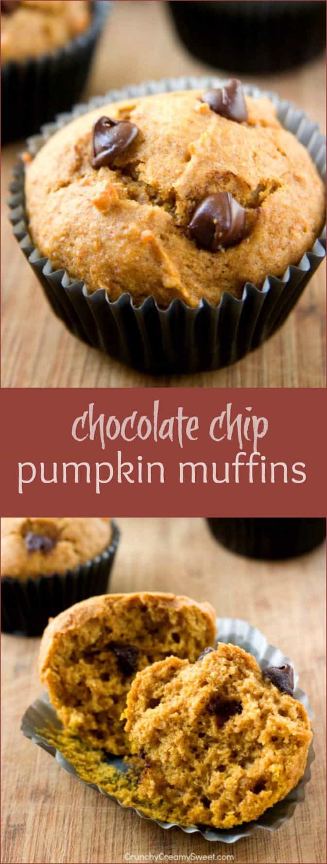pumpkin muffins long Chocolate Chip Pumpkin Muffins