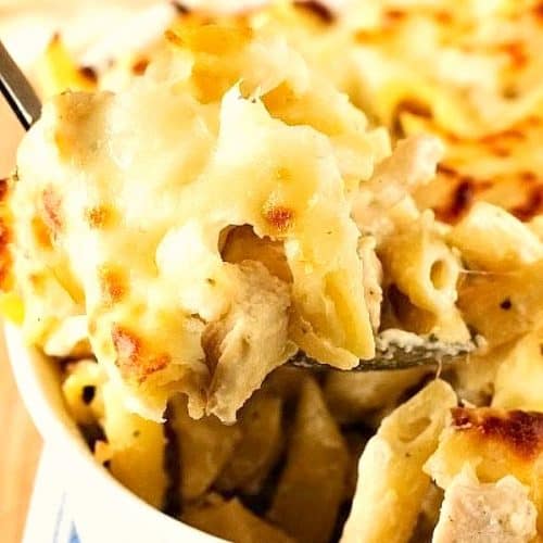 Cheesy Chicken Alfredo Bake in a casserole dish.