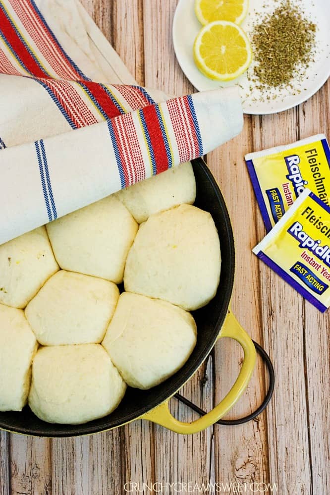 Citrus and Herb Dinner Rolls