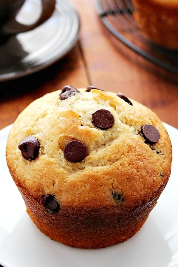 Bakery Style Chocolate Chip Muffin on a plate.