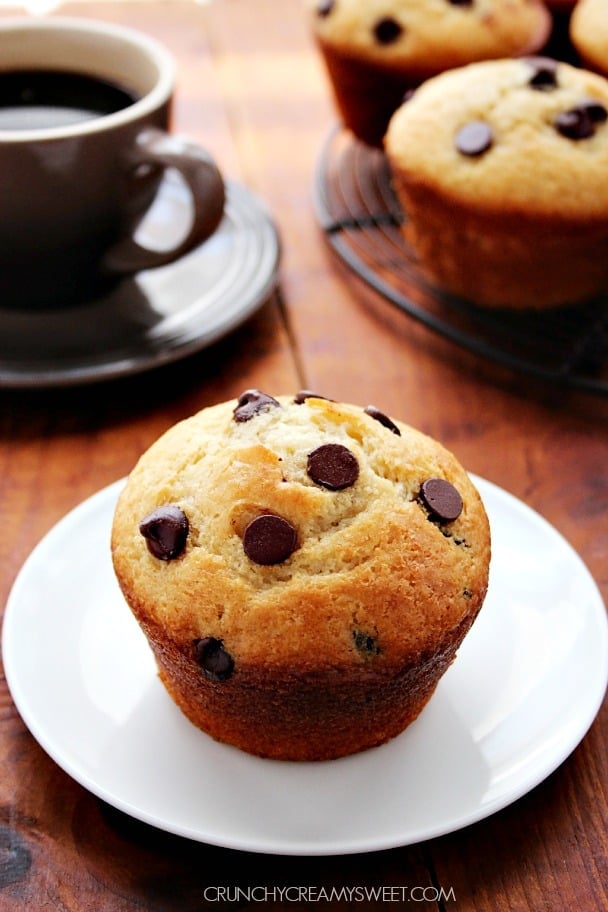 Bakery Style Chocolate Chip Muffins - big fluffy muffins filled with chocolate chips. Bakery style treat made in your own kitchen! crunchycreamysweet.com
