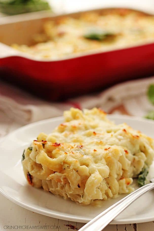 Piece of healthy mac and cheese on white plate with fork, baking dish with rest of mac in the background.