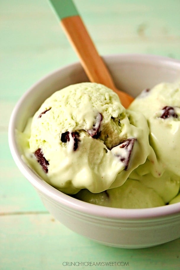 Side shot of a scoop of mint chocolate ice cream in white bowl.