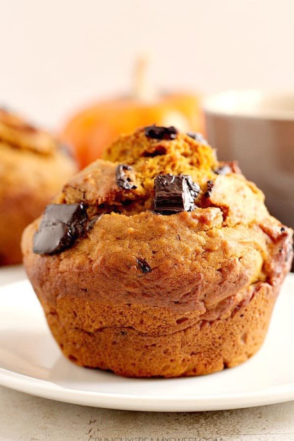 Chocolate Chunk Pumpkin Muffin on a plate.