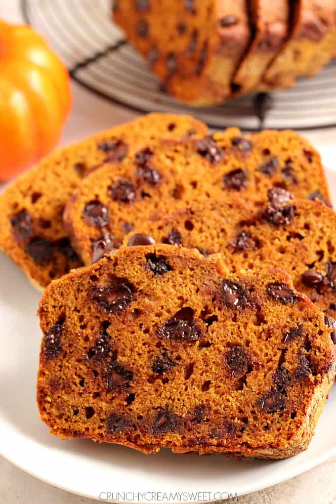 pumpkin chocolate chip bread