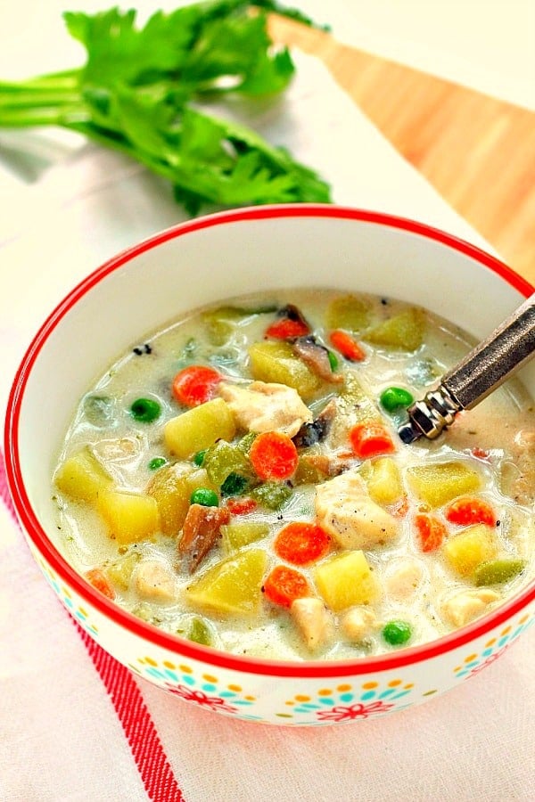 Chicken and veggie soup in bowl with red rim.