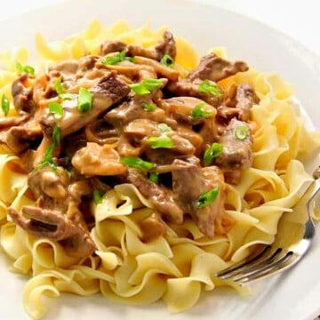 Beef Stroganoff on a white plate with fork.