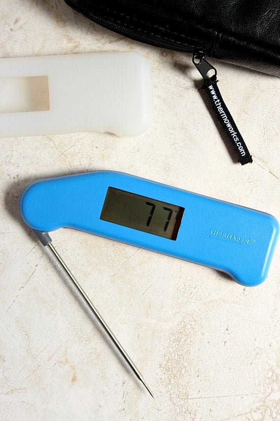 thermoworks thermapen