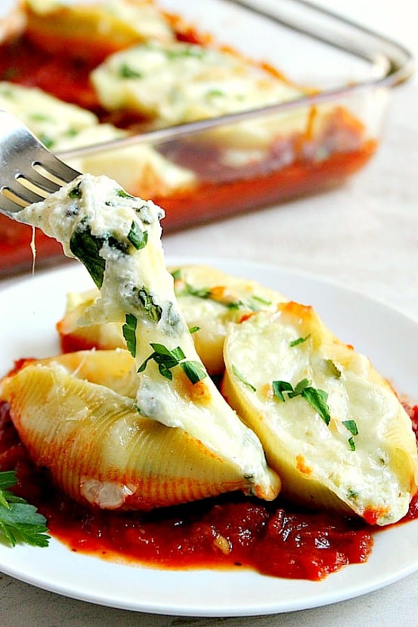  Pasta Shells on a white plate.