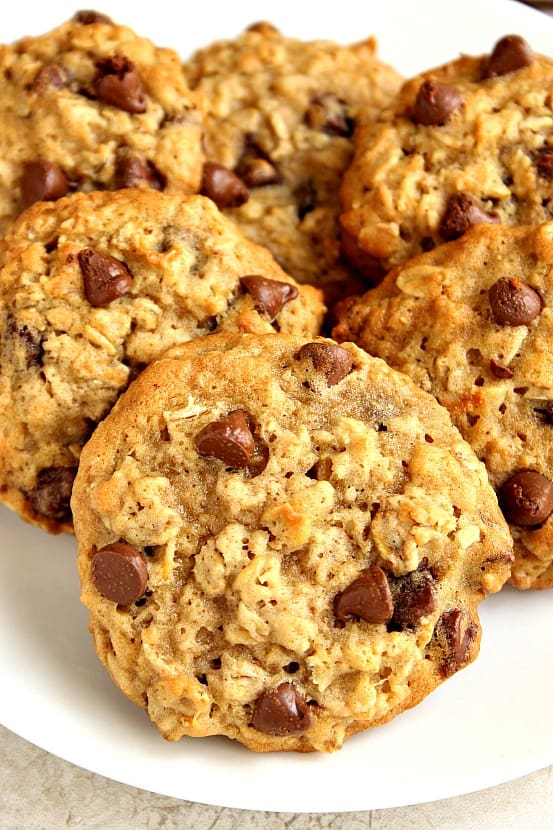 Side shot of oatmeal chocolate chip cookies arranged on white plate.