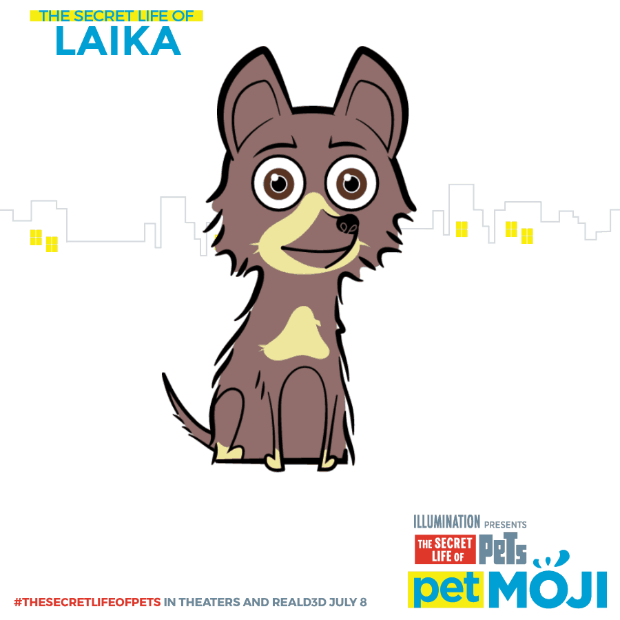 share-Laika