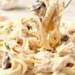 Mushroom Chicken Alfredo on a plate.