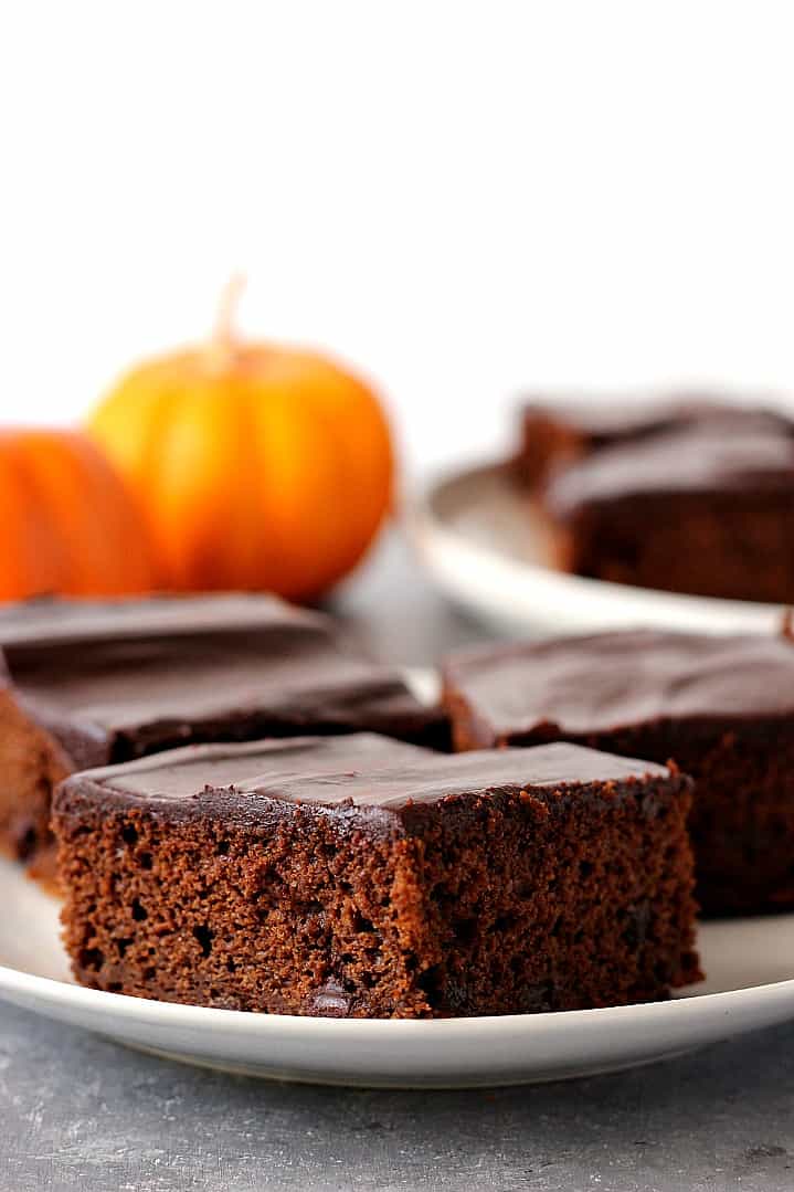 A piece of Chocolate Pumpkin Cake on white plate.