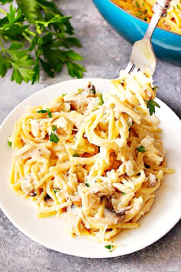 Turkey Tetrazzini on a white plate.