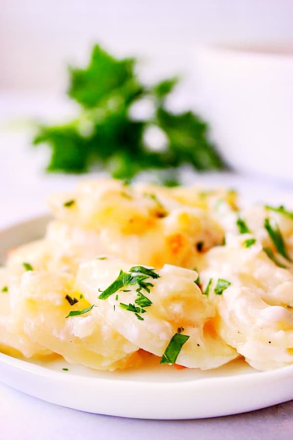 Scalloped potatoes on a white plate.