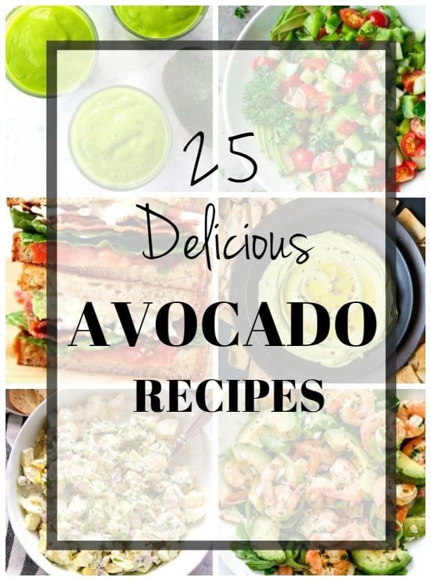 round up of avocado recipes