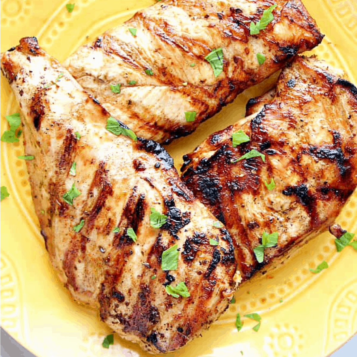 Grilled chicken on a plate.