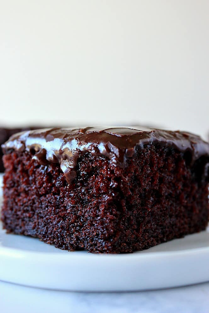 Side close up shot of chocolate cake with fudge frosting on white plate.