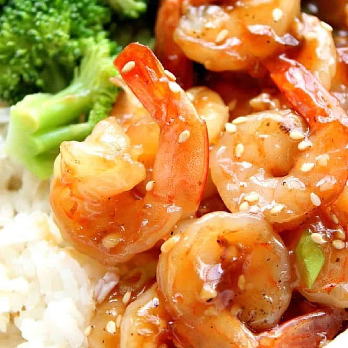 Square image of shrimp with teriyaki sauce on rice, with steamed broccoli next to it, all set in a bowl.